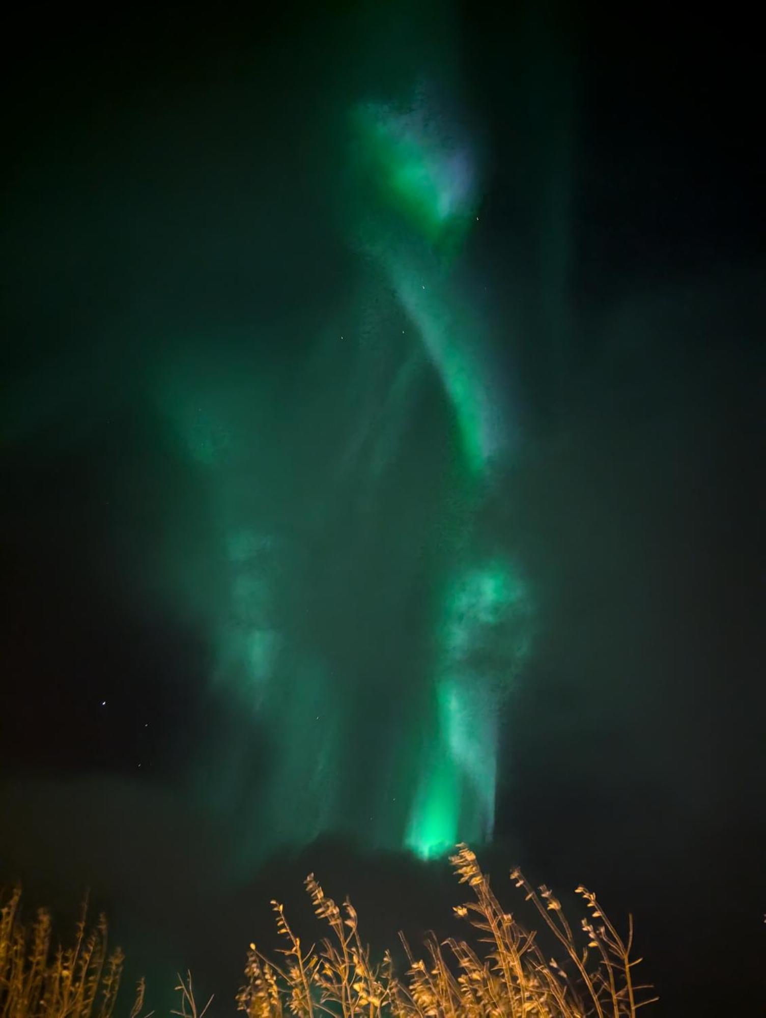 The House Of Aurora I Lägenhet Tromsø Exteriör bild